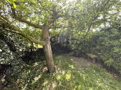 Picture 16